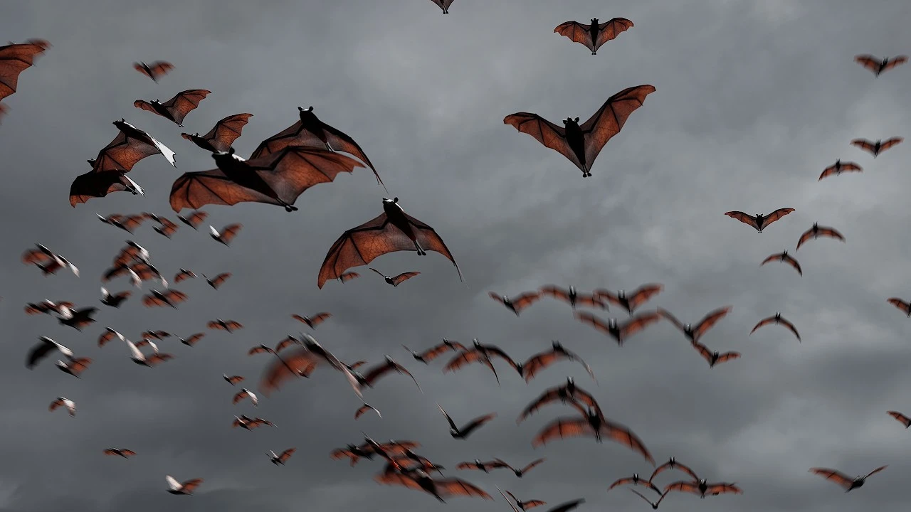 Creating Animated Bats with Geometry Nodes 🦇 (Blender Tutorial) - CGI ...